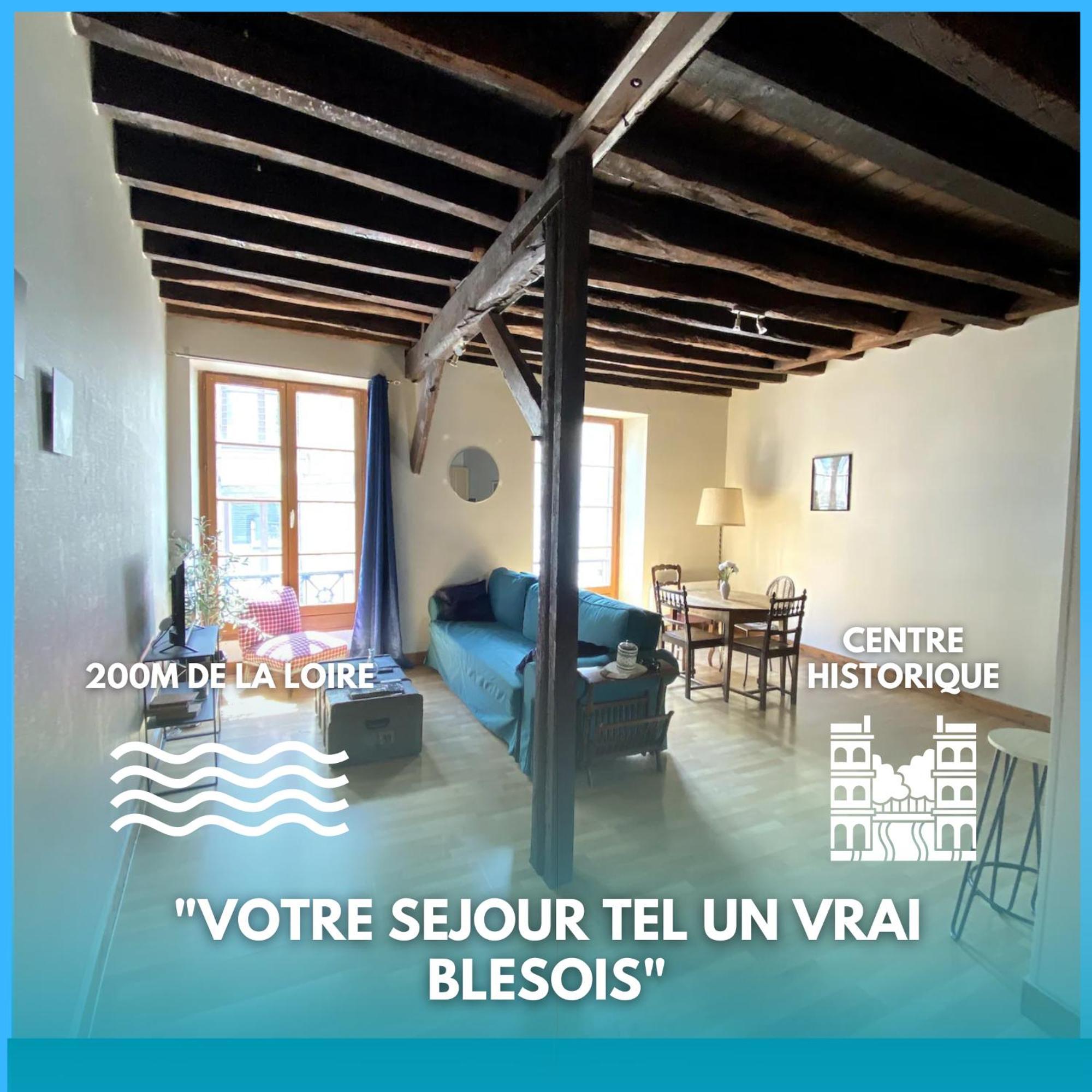 Ferienwohnung L'Escapade Blesoise - Hyper Centre Blois Exterior foto